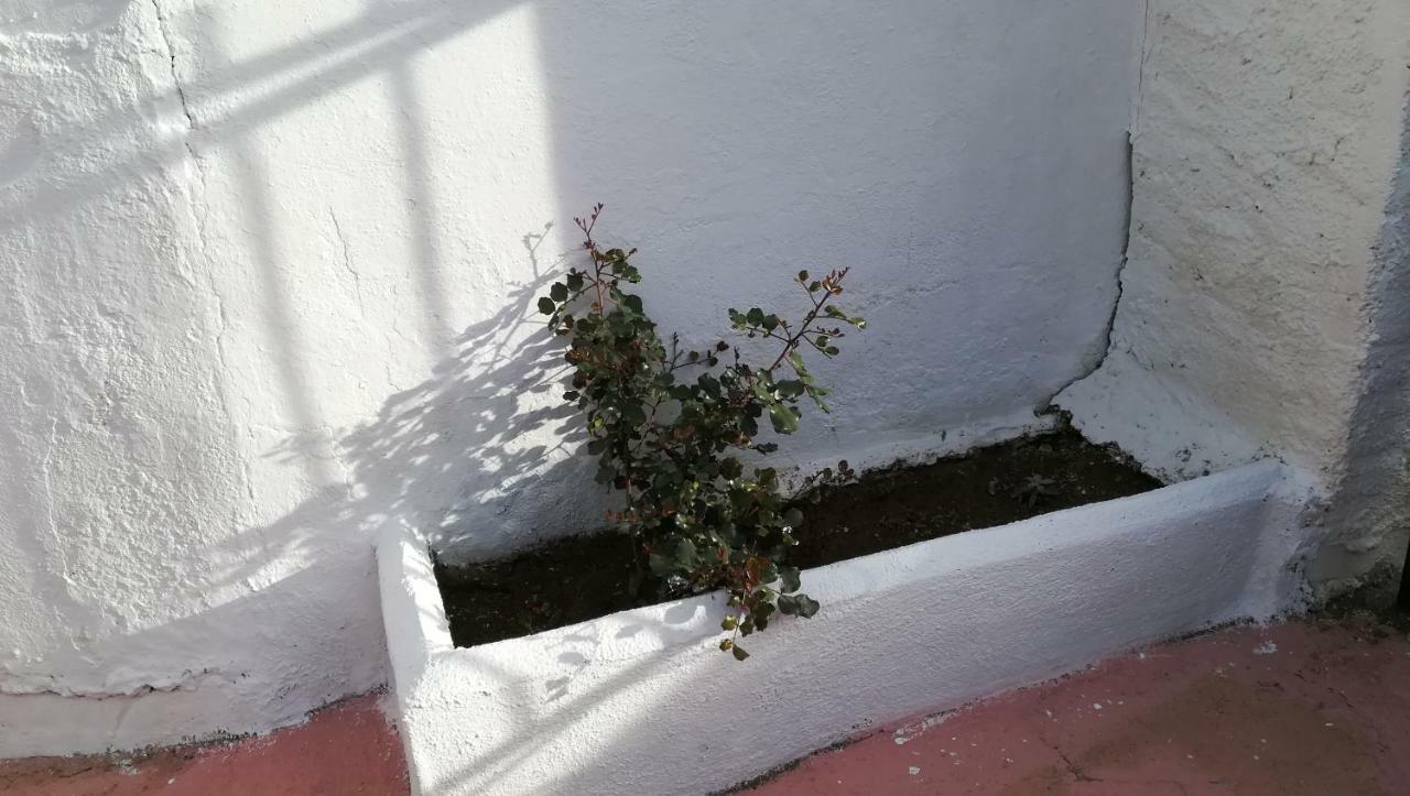 Отель Casa Cueva El Algarrobo Гвадикс Экстерьер фото